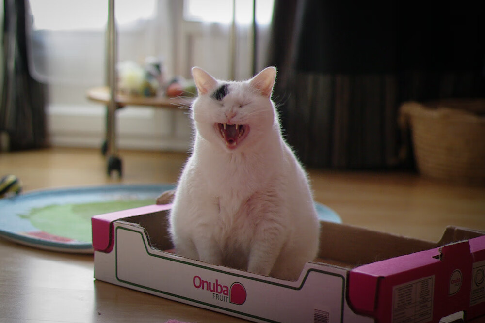 神话再现，希腊带走亚特兰大，马丁内利攻防两端的现代统治