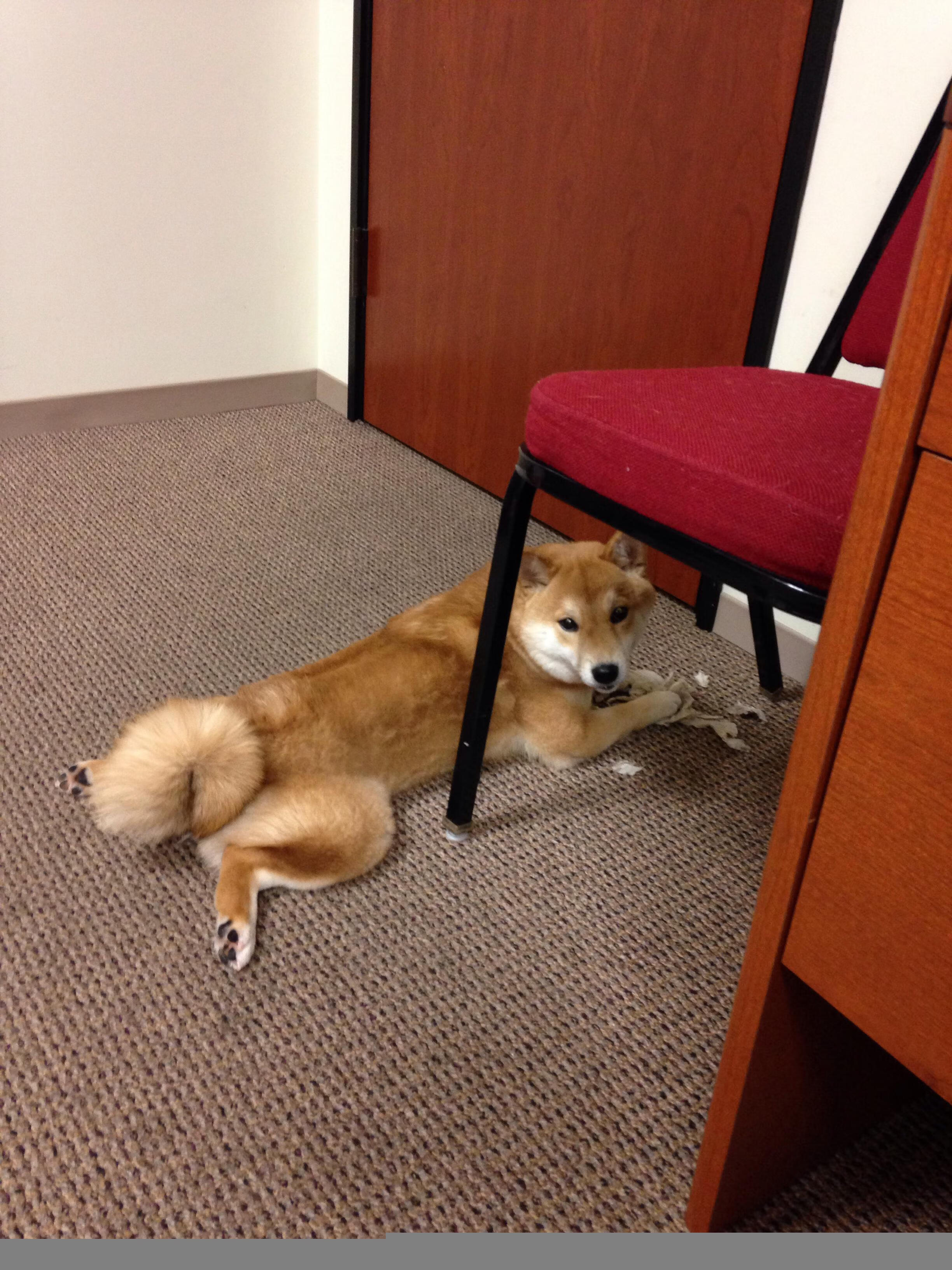 欧冠淘汰赛之夜，斯通斯，那个令对手完全无解的防线磐石