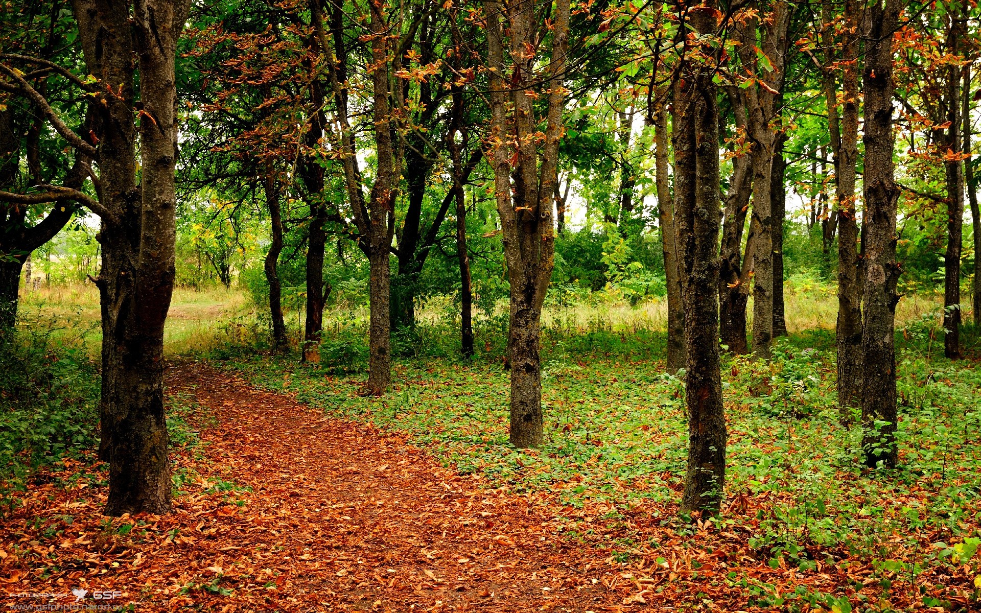 欧冠淘汰赛焦点战，骑士火力压制老鹰