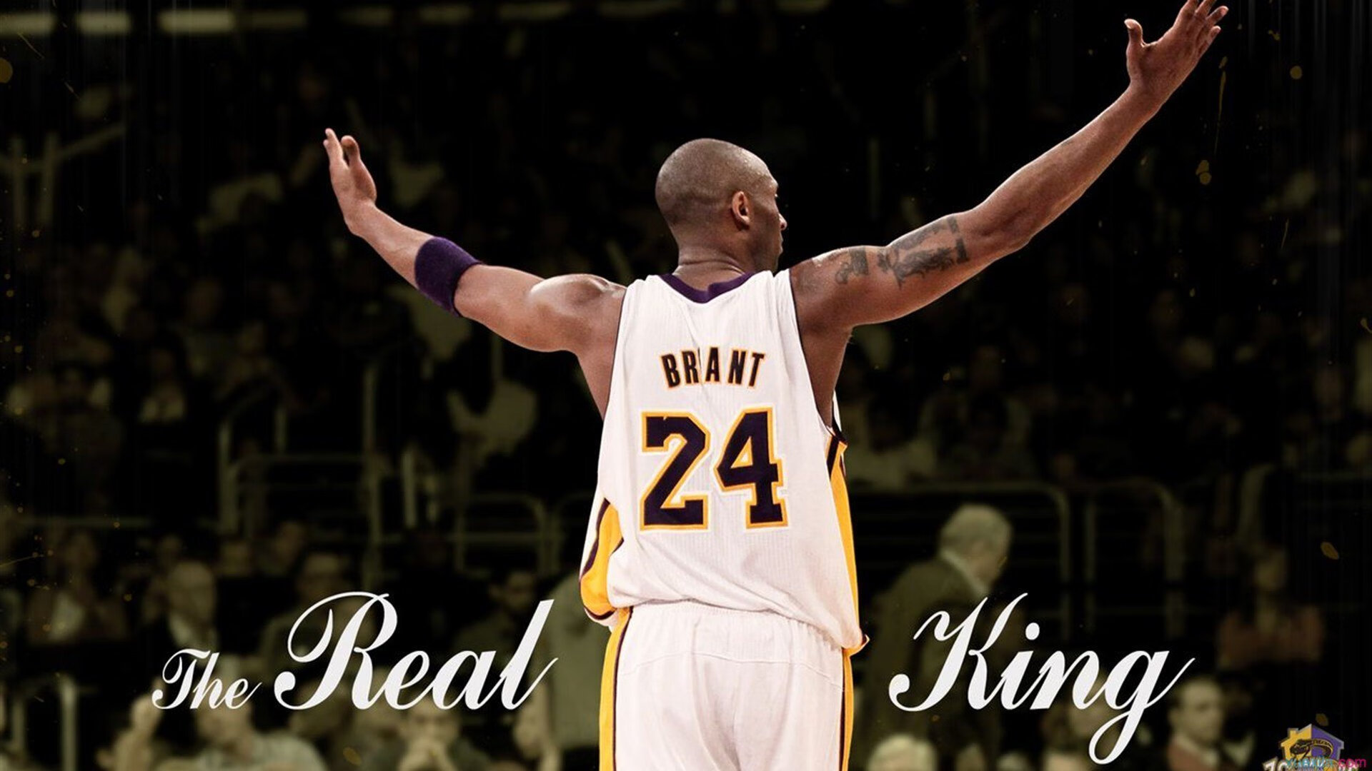 年终总决赛险胜法网，蒂姆惊艳四座，一场定义时代的胜利