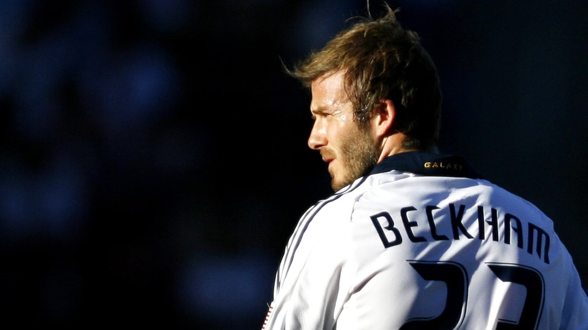 王权更迭,当国王带走猛龙,塔图姆加冕关键先生